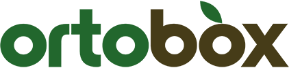 Logo OrtoBox